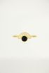 Ring Plaat Steen Zwart, Ringen