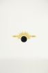 Ring Ronde Steen Zwart, RVS Ringen