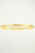 Stalen armband, basic armband, Slavenarmband