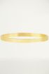 Stalen armband met panterpint, slavenarmband