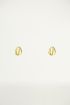 Studs open schelp, Oorknopjes