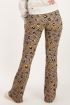 Flared broek met multikleur luipaard print | My Jewellery