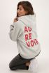 Grijze Au Revoir hoodie | My Jewellery