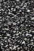 Zwarte jurk met blauwe luipaardprint | My Jewellery