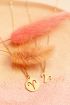 Ketting sterrenbeeld bedel, zodiac sign necklace