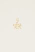 Moments charm leopard | Bedels sieraden My Jewellery