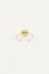 Ring kleine munt | Minimalistische ring  My Jewellery