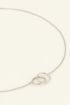 Forever connected single necklace | My Jewellery