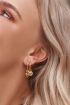 Oorringen muntje | My Jewellery