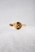 Ring met letter, Ringen