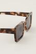 brown square cat eye sunglasses | My Jewellery