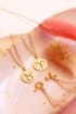 Sterrenbeeld ketting, zodiac sign