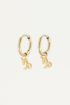 Zodiac charm earrings, zodiac sign earrings
