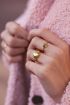 Zegelring initial letter goud, ringen