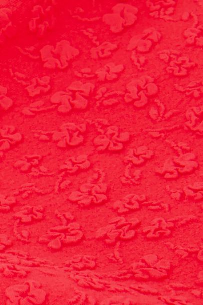 Rood bikini broekje met bloemetjes structuur