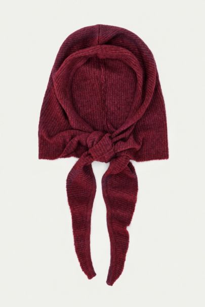 &Eacute;charpe &agrave; capuche bordeaux
