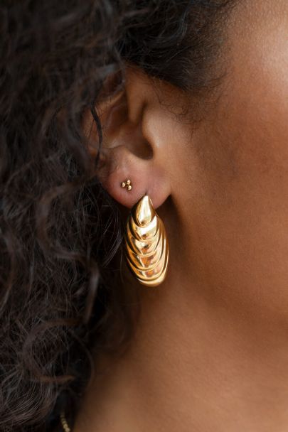 Oorhangers langwerpige schelp