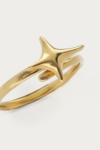 Fortune ring with North Star
