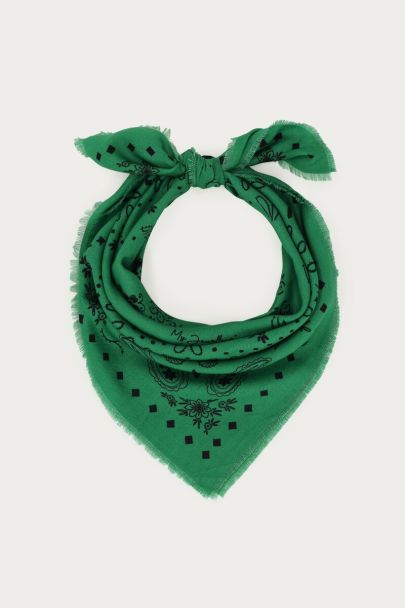 Châle vert avec imprimé paisley