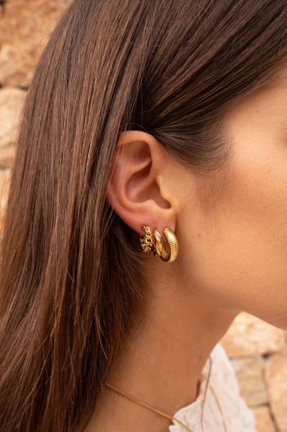 Boucles d&rsquo;oreilles torsad&eacute;es 