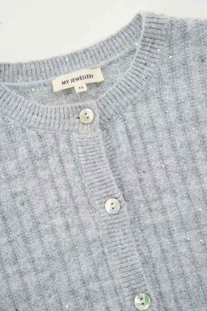 Zilverkleurig vest met pailletten