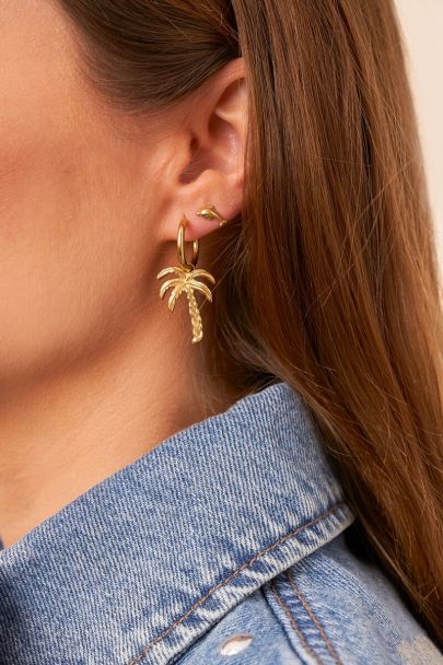 Puces d'oreilles Tropical dauphin 