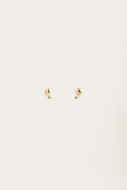 Puces d'oreilles Tropical dauphin 