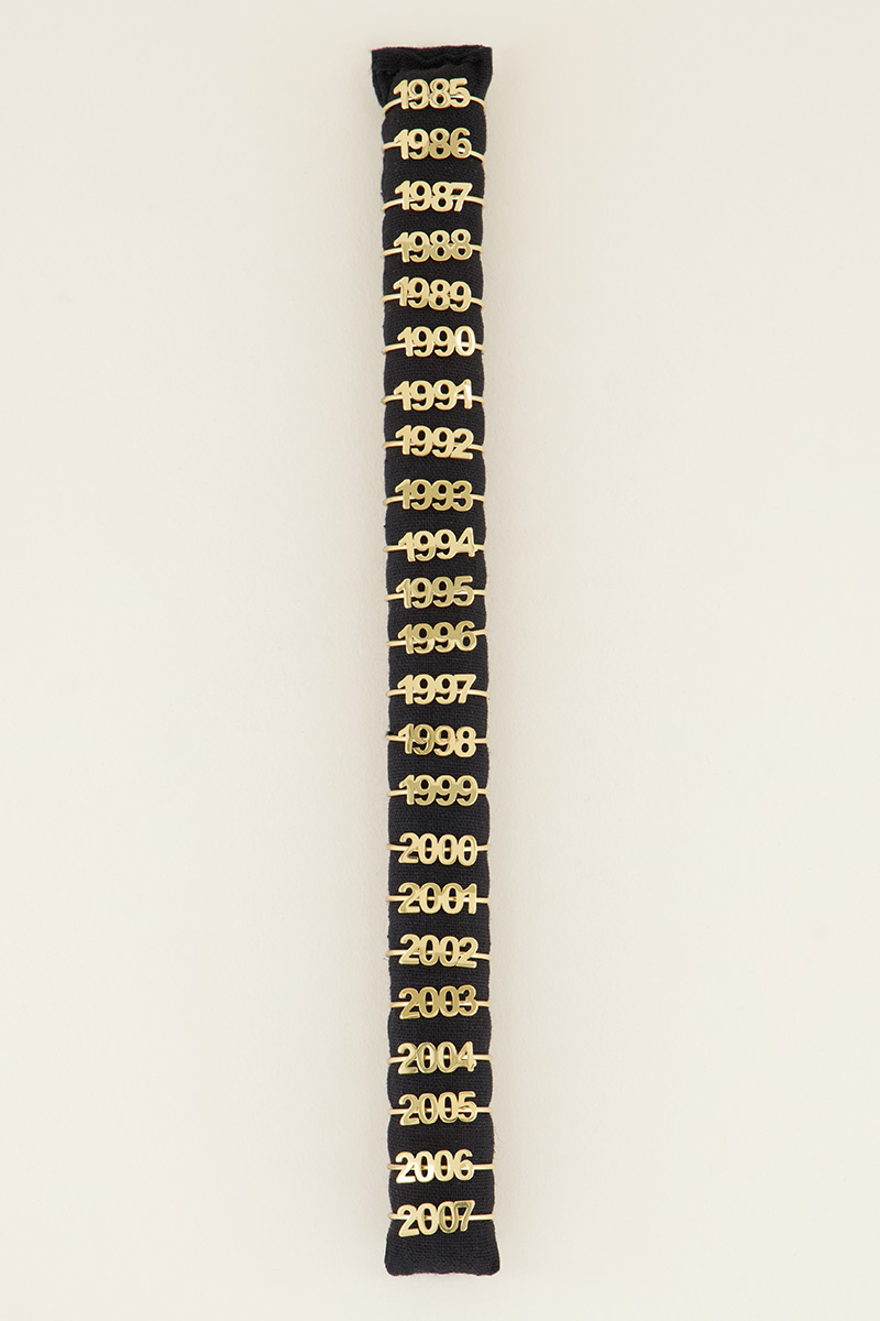 Ring jaartal | Geboortedatum ring My Jewellery