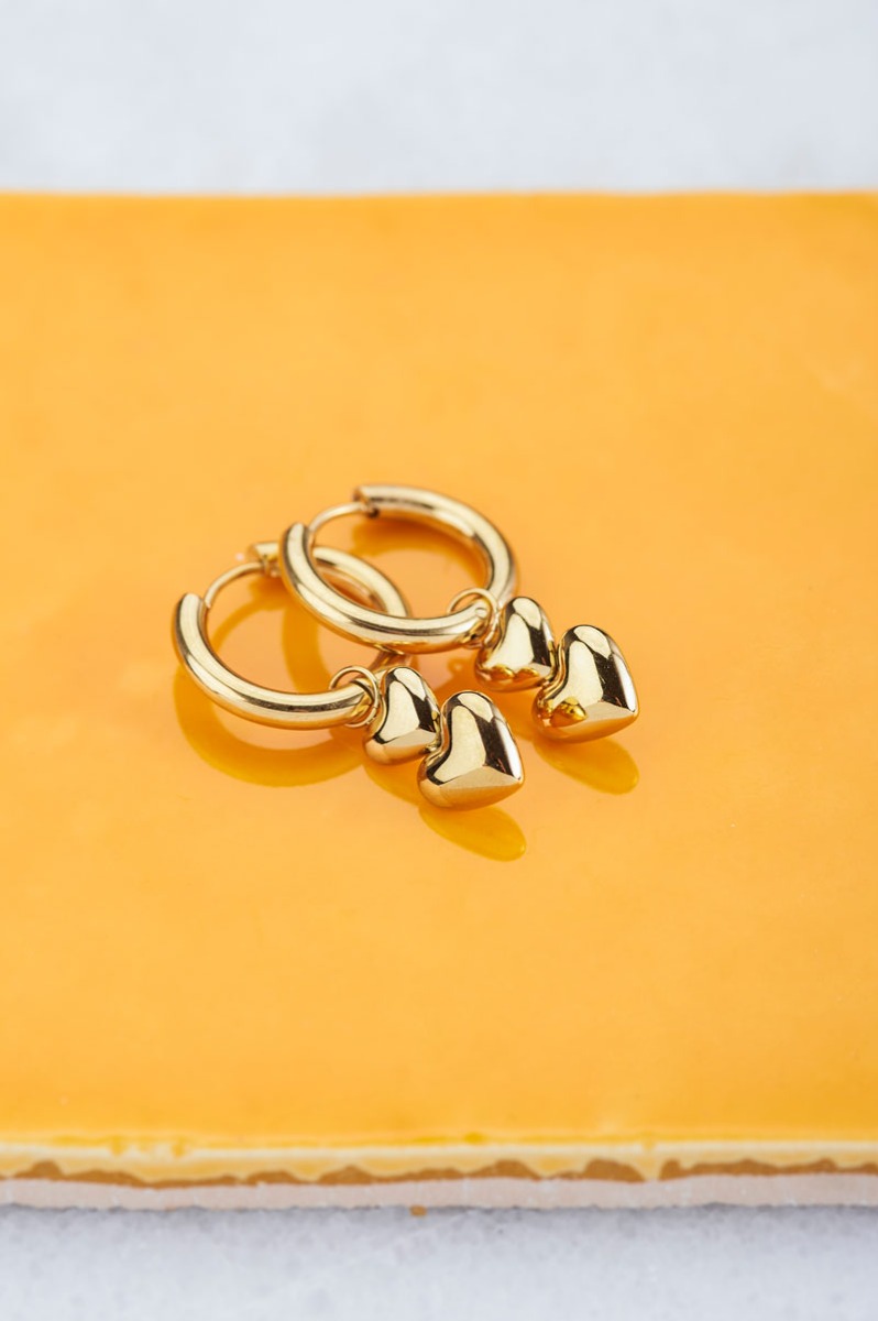 Oorringen dubbel hartje | My Jewellery