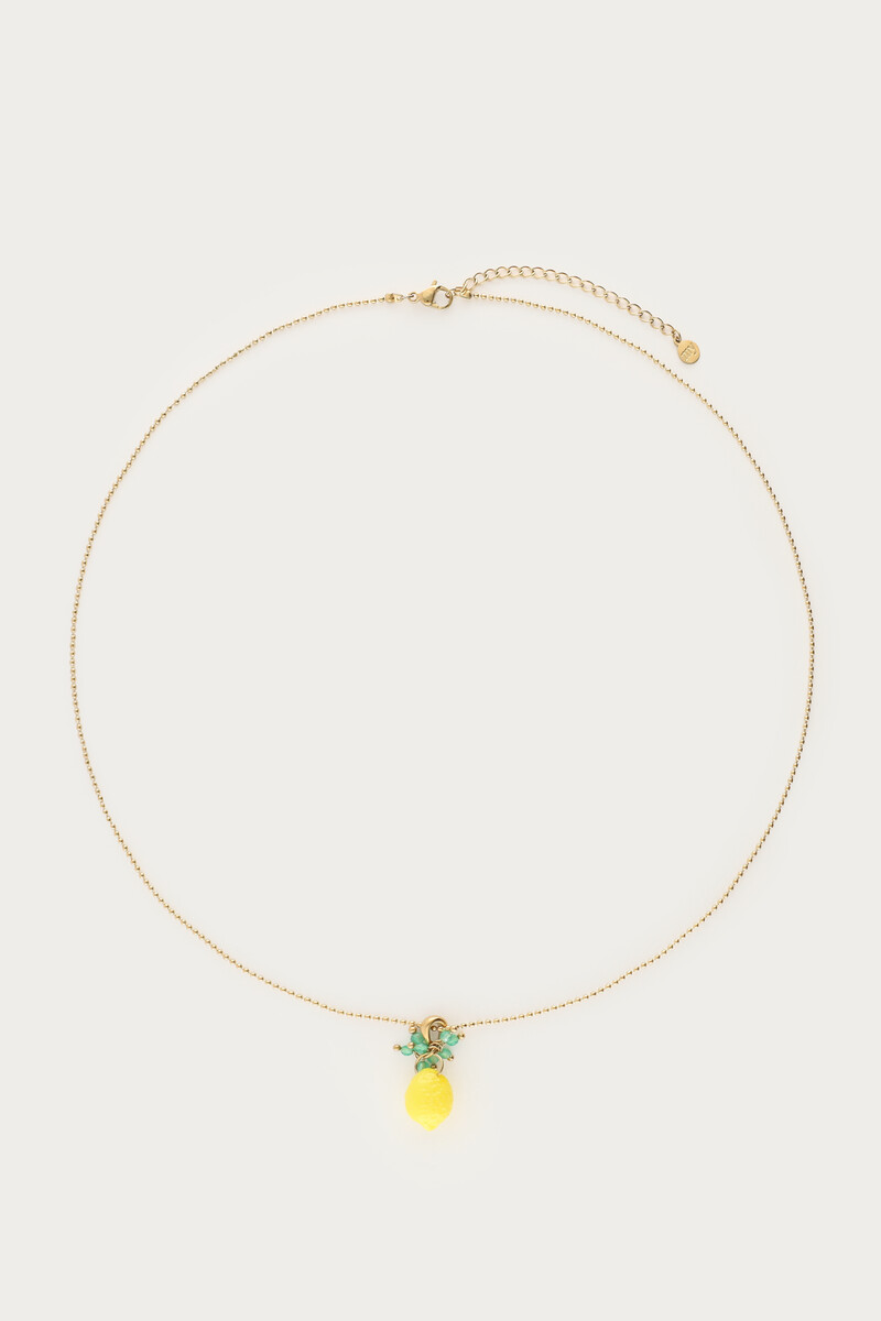 Ciao ketting met citroen