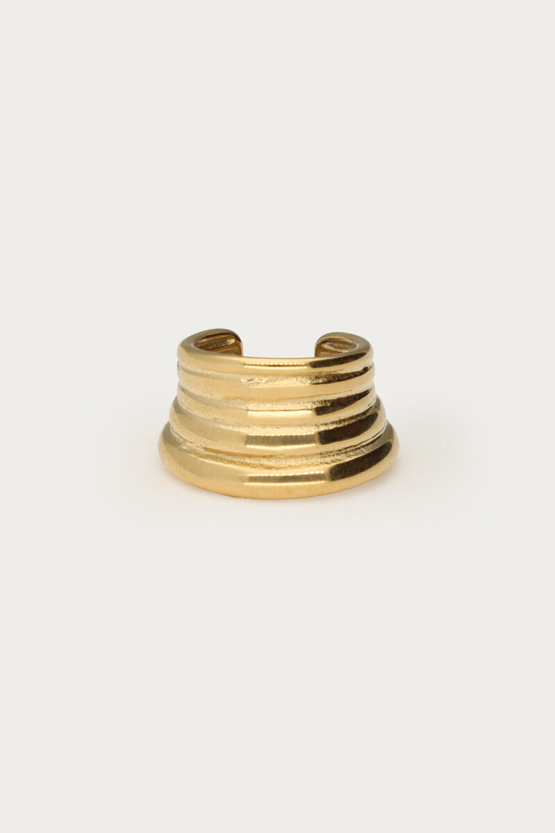 Ear cuff met vijf rijen