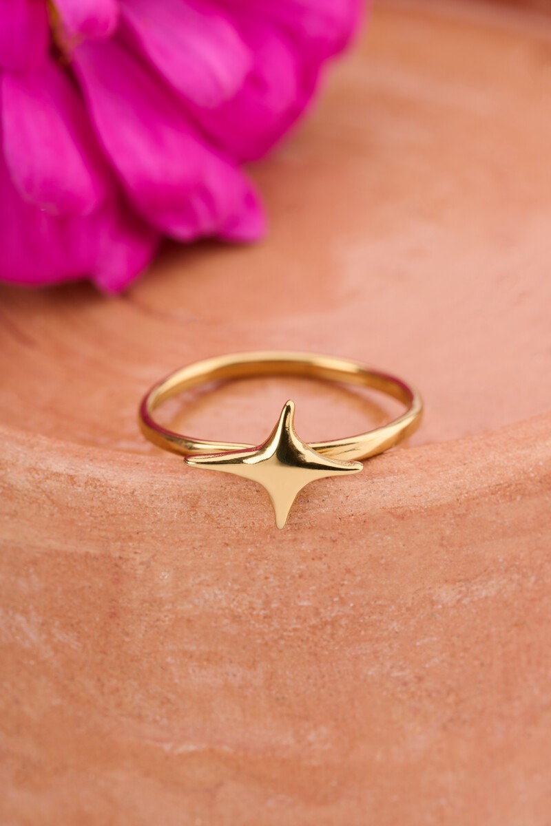Fortune ring with North Star | My Jewellery
