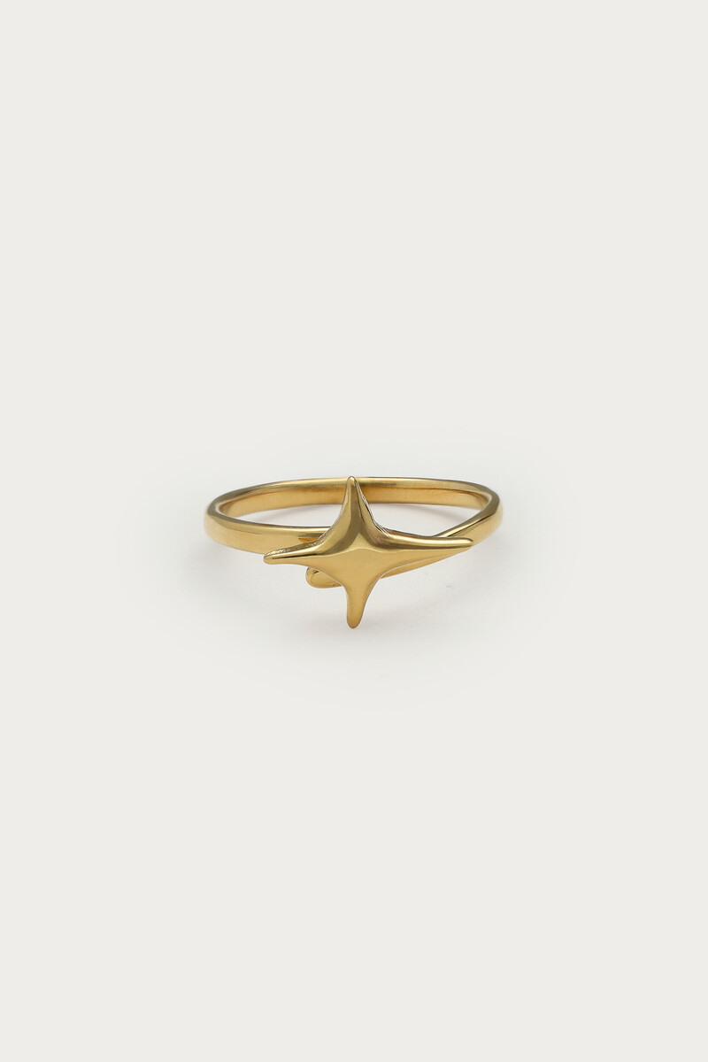 Fortune ring with North Star | My Jewellery