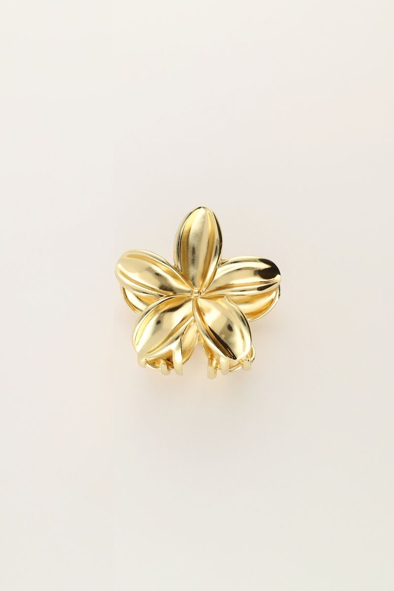 Golden flowers hair clip | My Jewellery