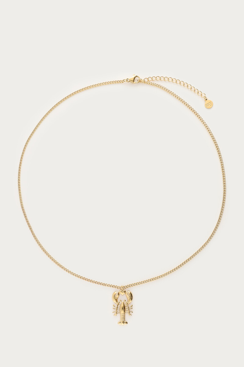 Mer minimalist necklace with lobster | My Jewellery