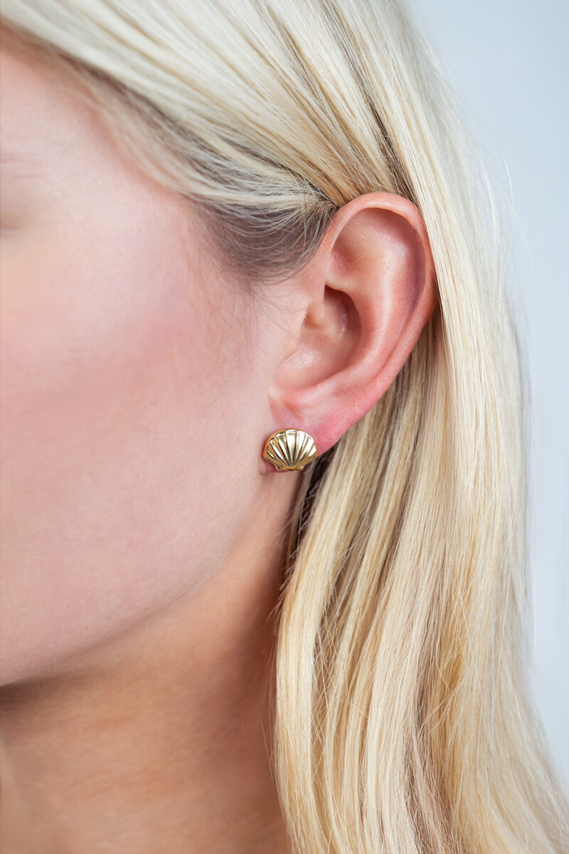 Studs with medium shell | My Jewellery