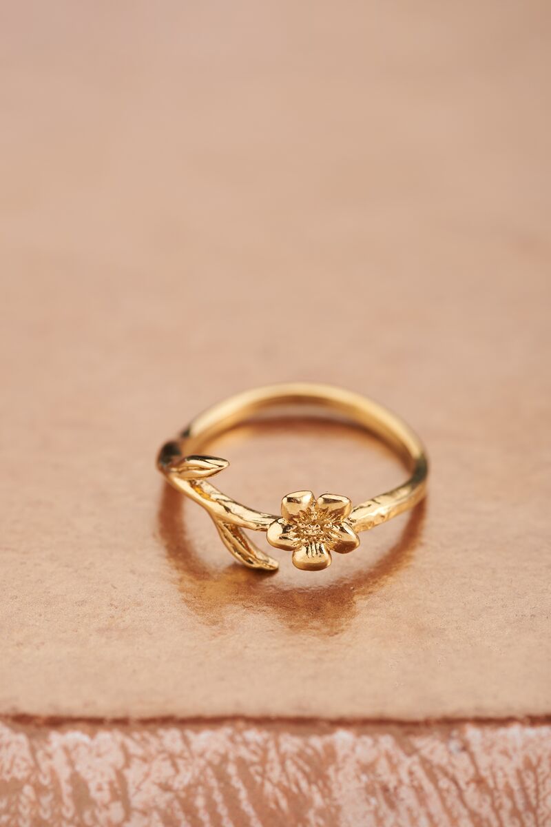 Birth Flower ring met bloem | My Jewellery