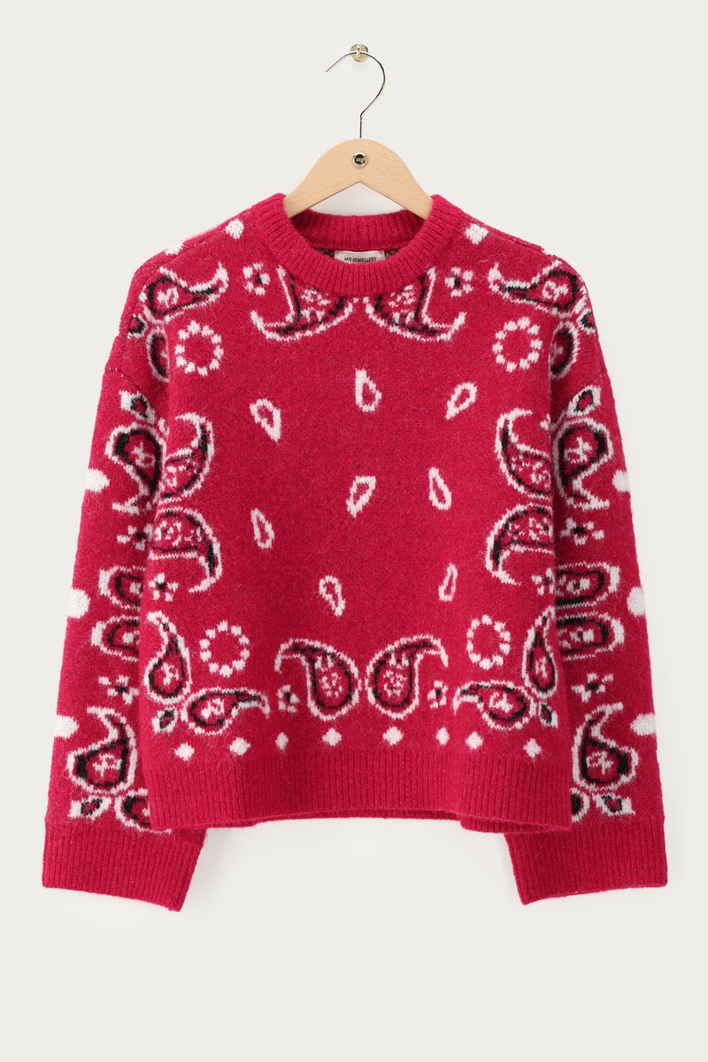 Pink brushed sweater with paisley print | My Jewellery