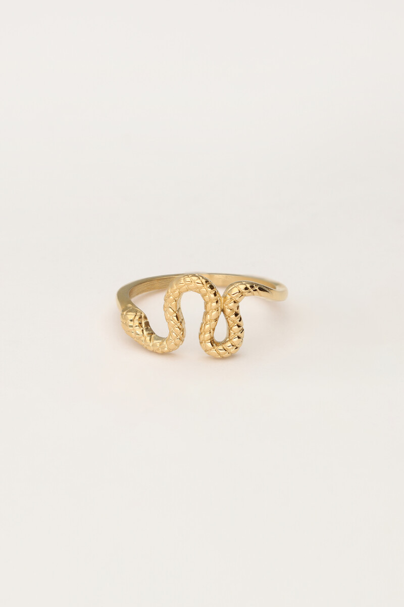Ring met slang