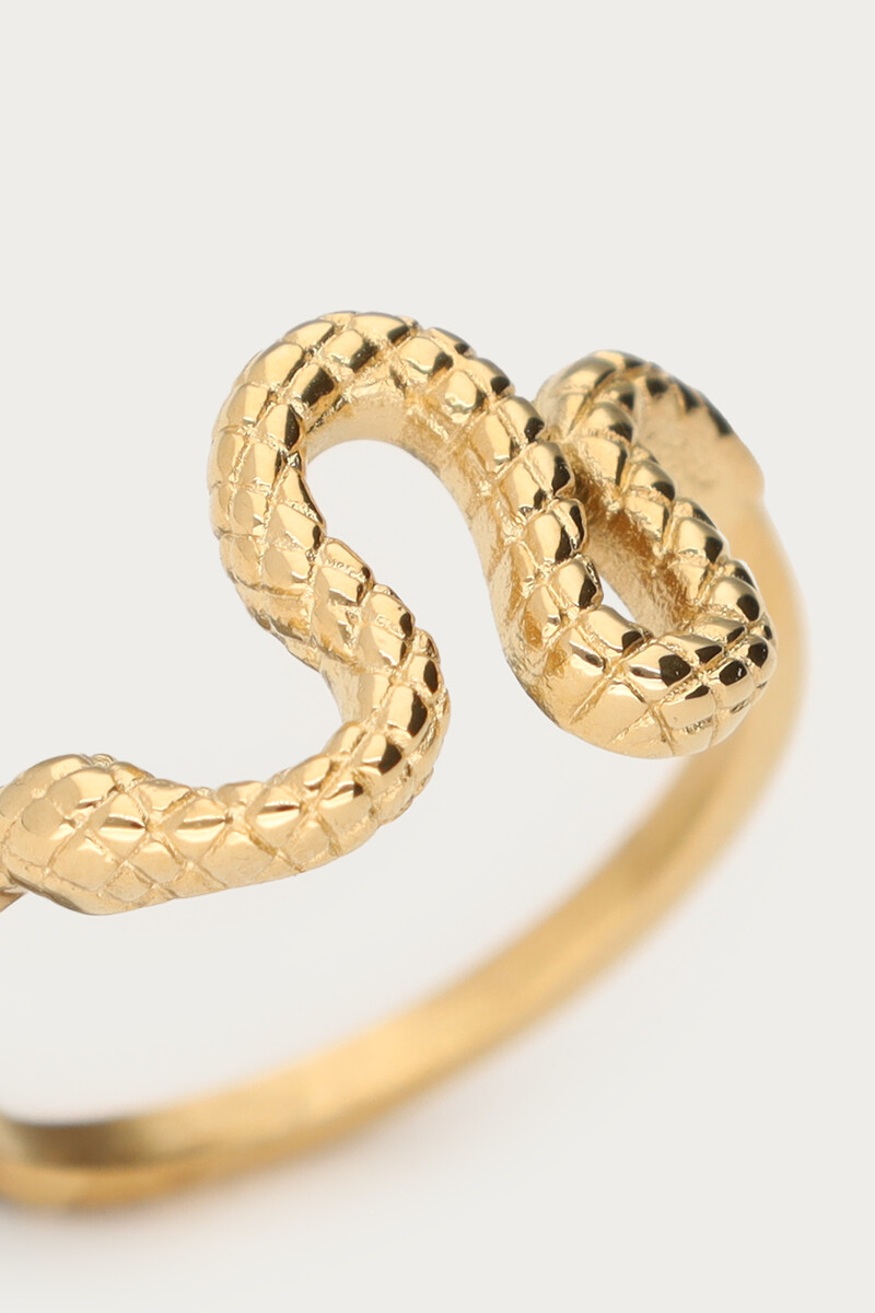 Ring with snake | My Jewellery