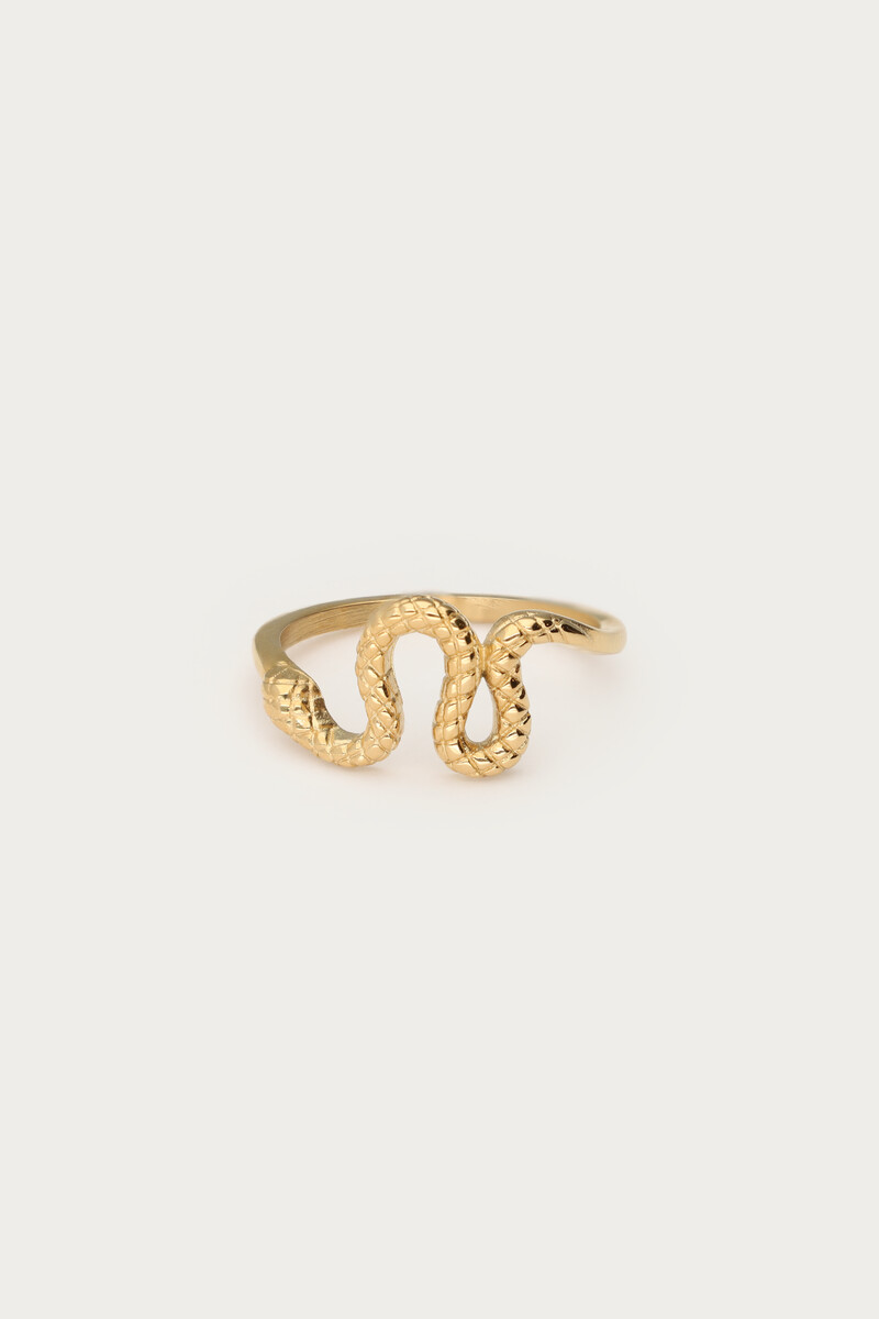 Ring met slang