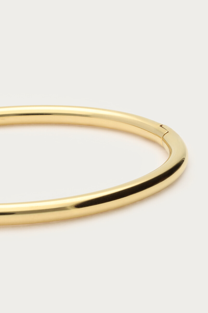 Shiny bangle | My Jewellery