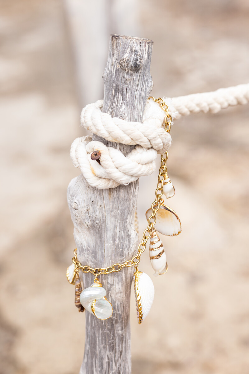 Mer chain necklace with statement shells | My Jewellery