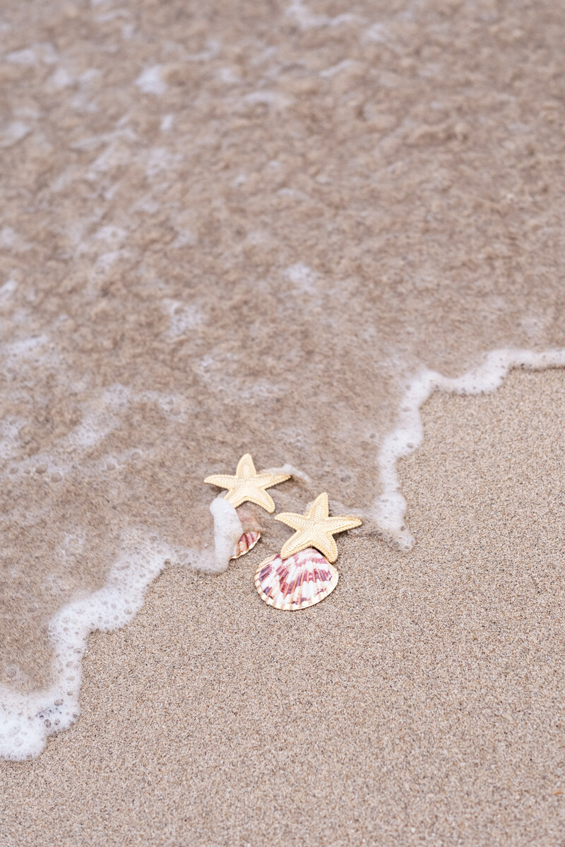 Mer drop earrings with shell & starfish | My Jewellery
