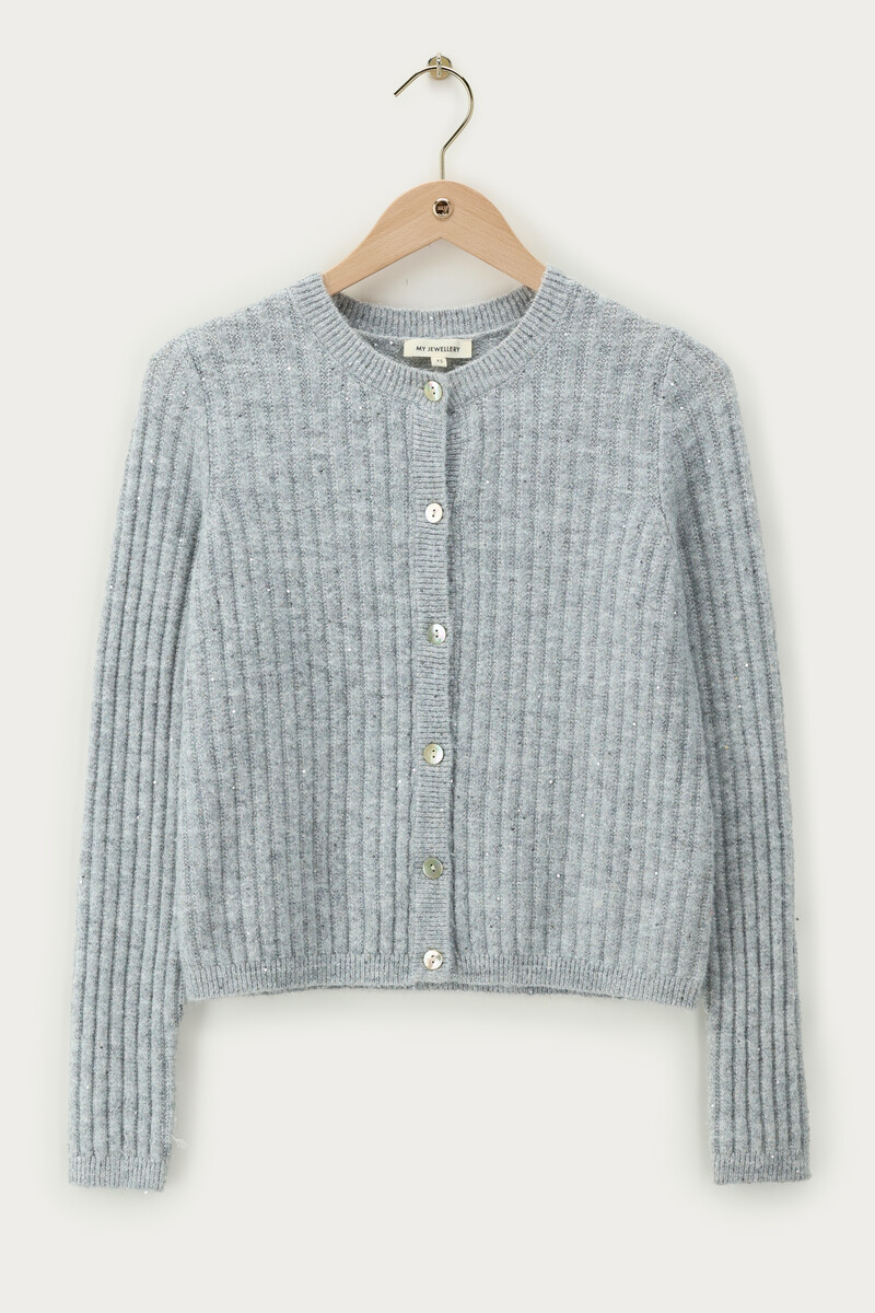 
Silver-coloured cardigan with sequins  | My Jewellery
