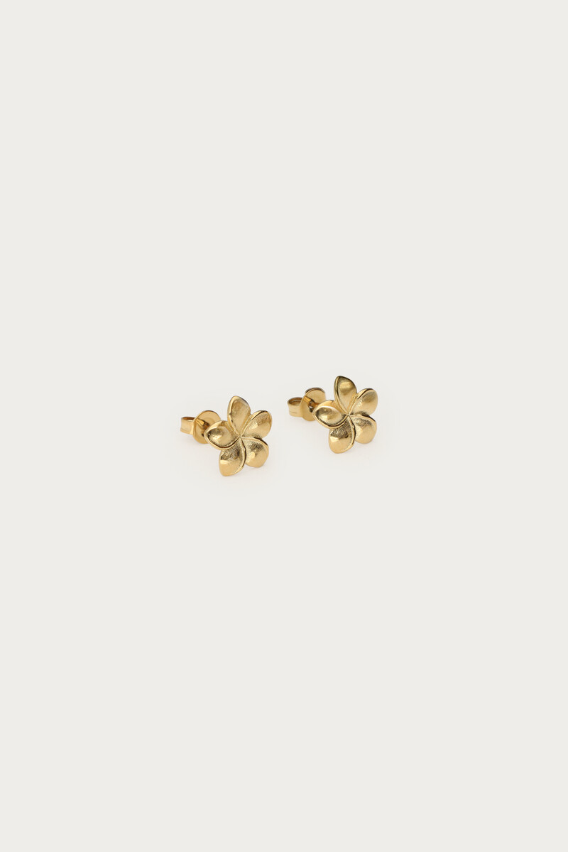 Tropical stud earrings with minimalist flower | My Jewellery